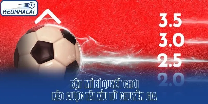 Bật mí bí quyết chơi kèo cược tài xỉu từ chuyên gia