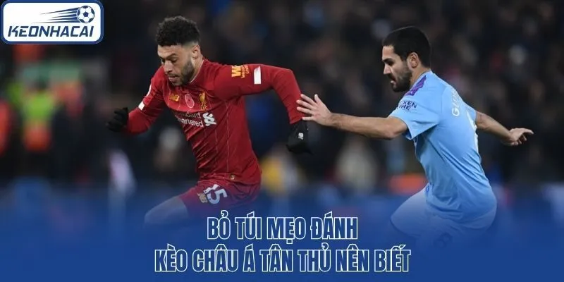 Bỏ túi mẹo đánh kèo châu Á tân thủ nên biết