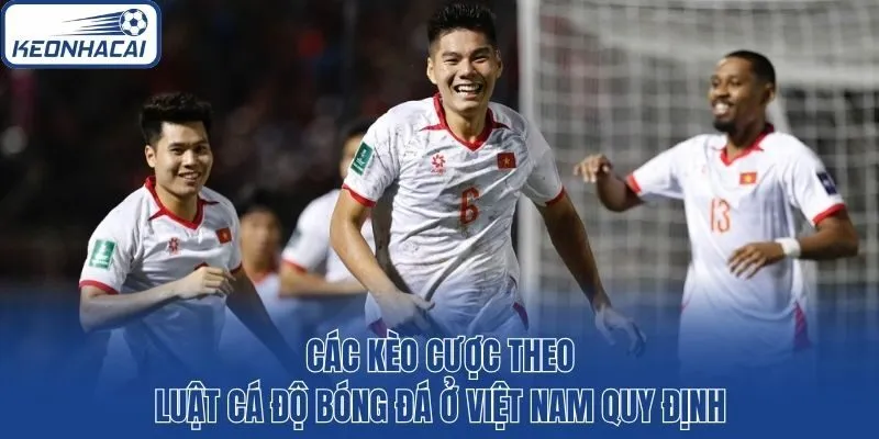 Các kèo cược theo luật cá độ bóng đá ở Việt Nam quy định
