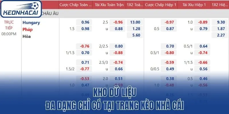 Kho dữ liệu đa dạng chỉ có tại trang kèo nhà cái