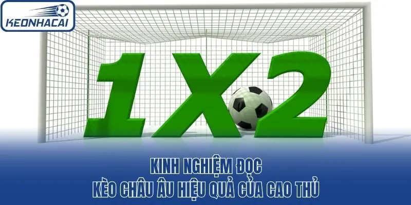 Kinh nghiệm đọc kèo châu Âu hiệu quả của cao thủ