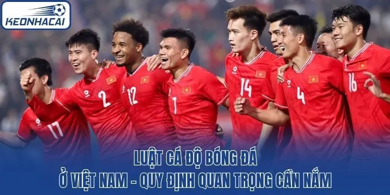 Luật Cá Độ Bóng Đá Ở Việt Nam - Quy Định Quan Trọng Cần Nắm
