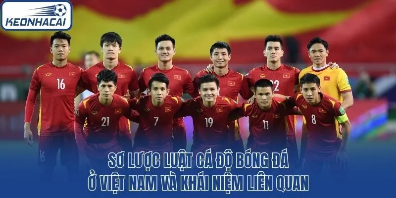 Sơ lược luật cá độ bóng đá ở Việt Nam và khái niệm liên quan