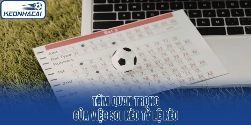 Tầm quan trọng của việc soi kèo tỷ lệ kèo