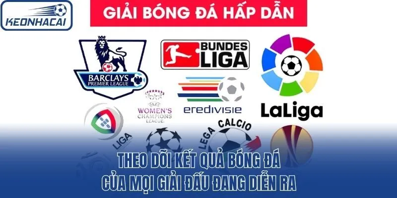 Theo dõi kết quả bóng đá của mọi giải đấu đang diễn ra