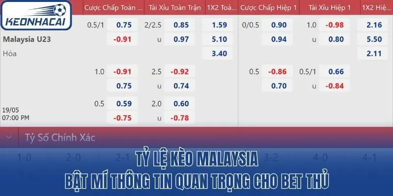 Tỷ Lệ Kèo Malaysia: Bật Mí Thông Tin Quan Trọng Cho Bet Thủ